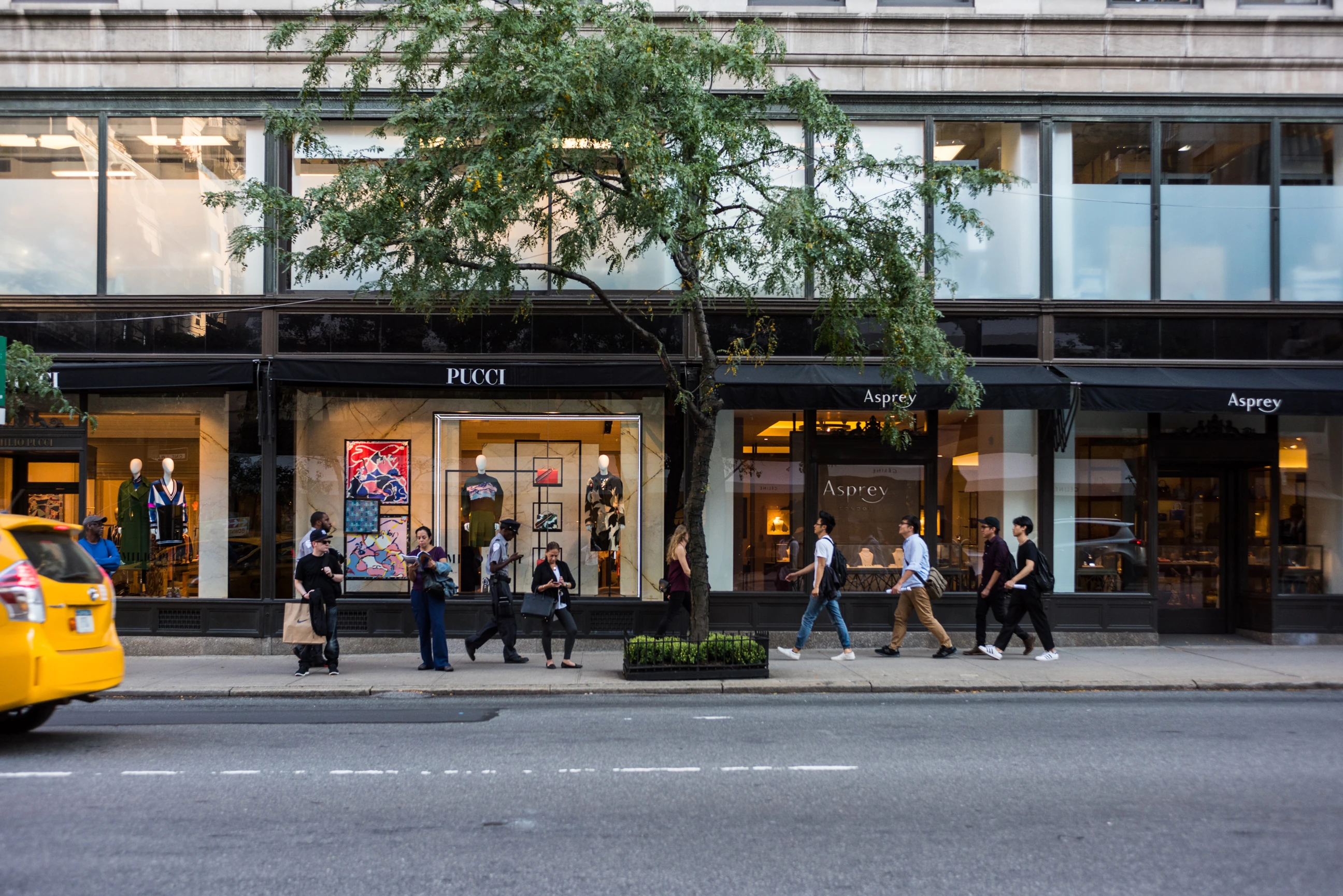 Madison Avenue in Midtown East, Manhattan 3
